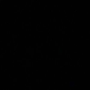 Meet your Posher, Miracle